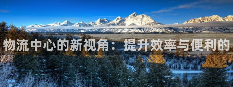 豪门国际口戒指是多大：物流中心的新视