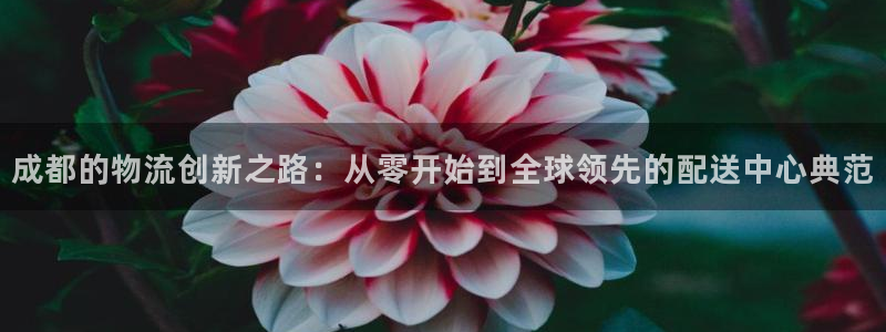 豪门国际那个才是充值账号：成都的物流