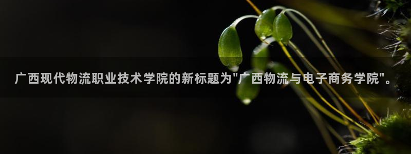 豪门国际提现不到账：广西现代物流职业