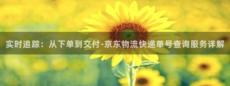 豪门国际麻将胡了爆分视频：实时追踪：