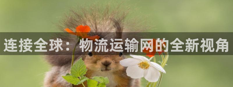 豪门国际连输10天：连接全球：物流运