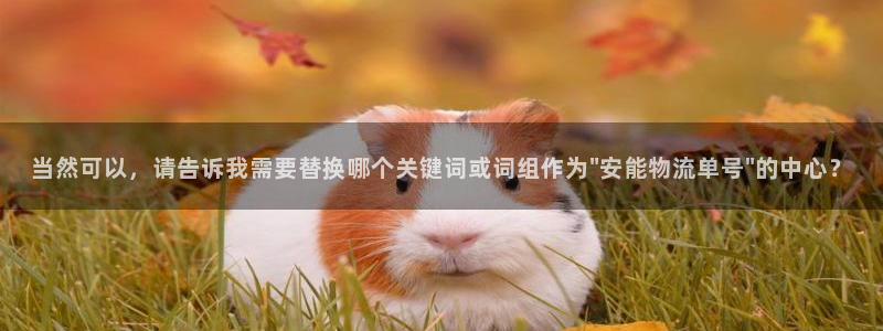 豪门国际官网版2024