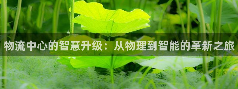 豪门国际推广链接是多少
