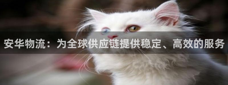 豪门国际反水什么时候到：安华物流：为