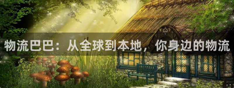 豪门国际ccm官网版：物流巴巴：从全