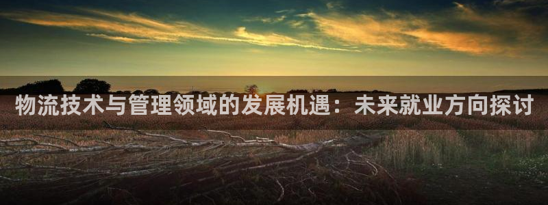 豪门国际怎么注册账号和密码：物流技术与管理领域的发展机遇：未