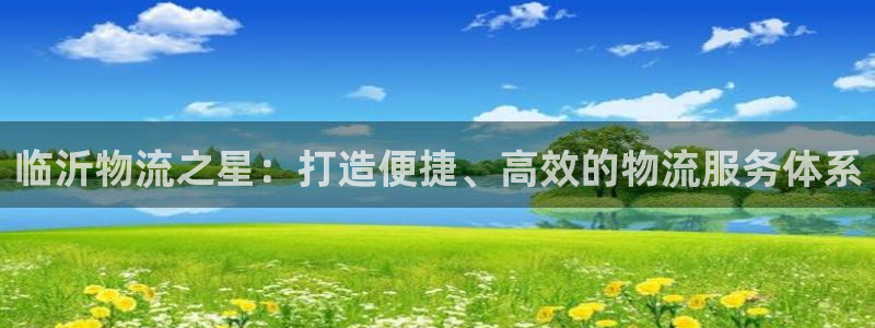 豪门国际链接来一个：临沂物流之星：打