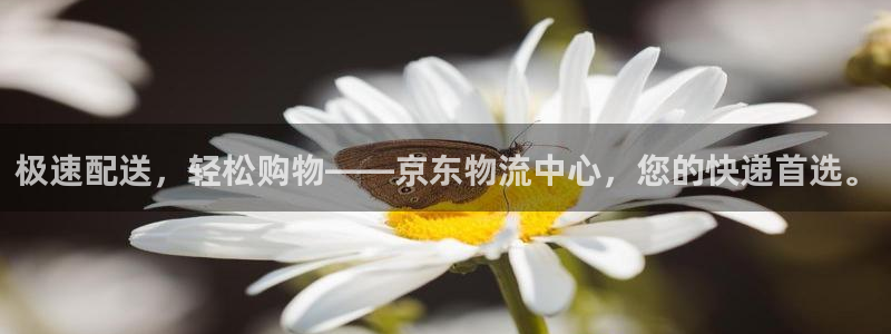 豪门国际官方官网：极速配送，轻松购物