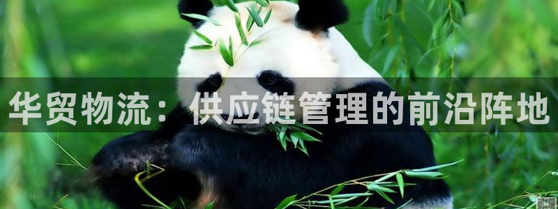 豪门国际反水：华贸物流：供应链管理的