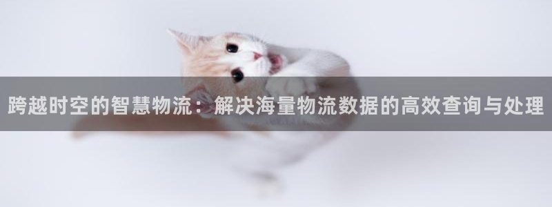 豪门国际注册与教程：跨越时空的智慧物