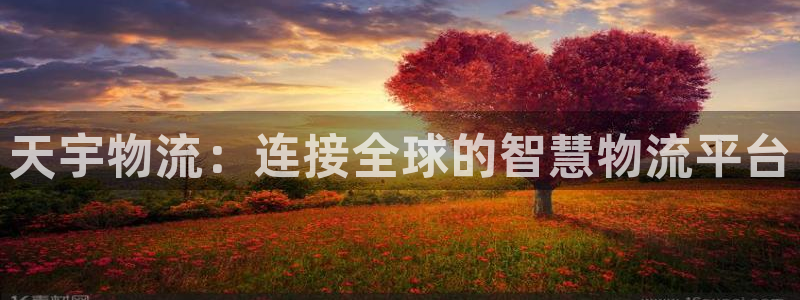 豪门国际激活码：天宇物流：连接全球的