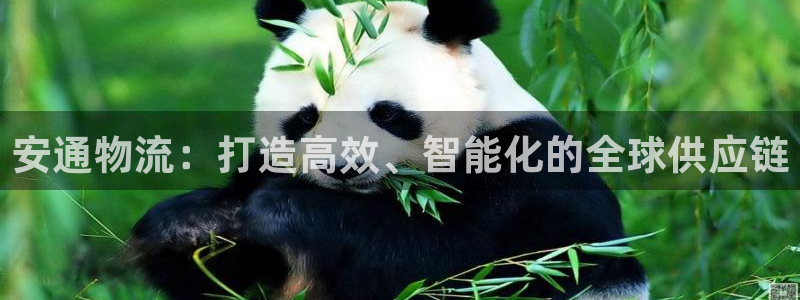 豪门国际辅助