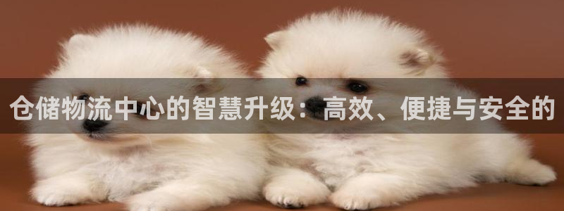 豪门国际官网版所有版本：仓储物流中心的智慧升级：高效、便捷与