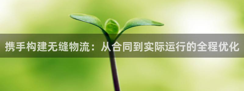 豪门国际官网下载链接是什么网站：携手