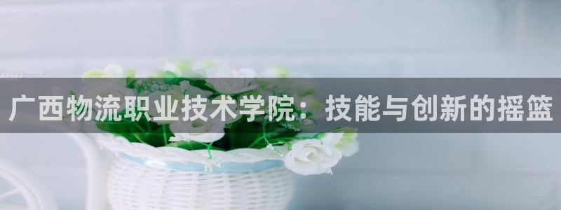 豪门国际新用户怎么注册：广西物流职业