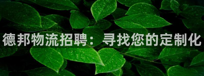 豪门国际反水什么时候到：德邦物流招聘