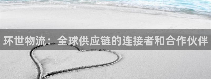 豪门国际提现不到账:环世物流:全球供