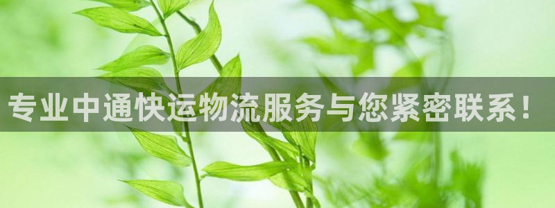 豪门国际可靠吗:专业中通快运物流服务