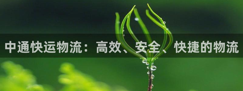 豪门国际稳吗:中通快运物流:高效、安
