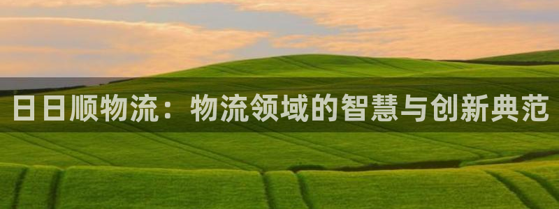 豪门国际龙虎：日日顺物流：物流领域的